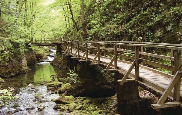 Nationalparks in Kroatien: Wanderurlaub durch schönste Natur